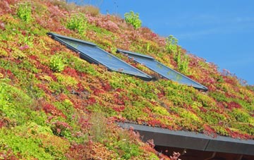 Talladale living roof systems